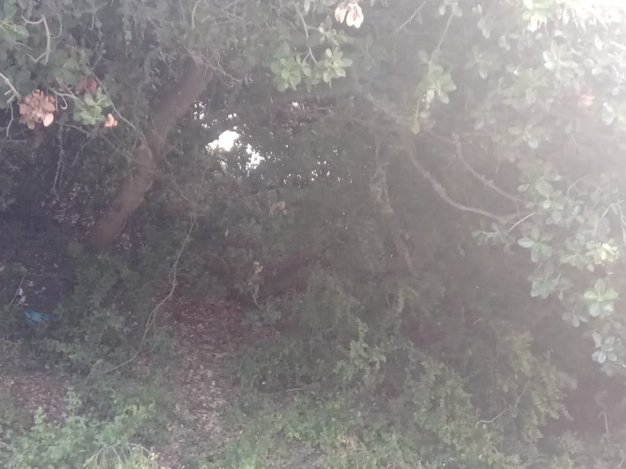 Commercial Property for Sale in Aston Bay Eastern Cape